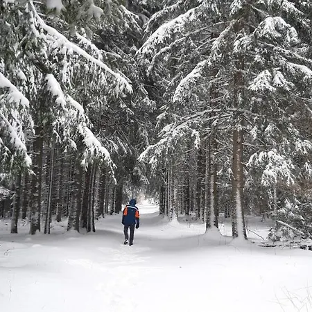 Casa vacanze Le Petit Pradelles
