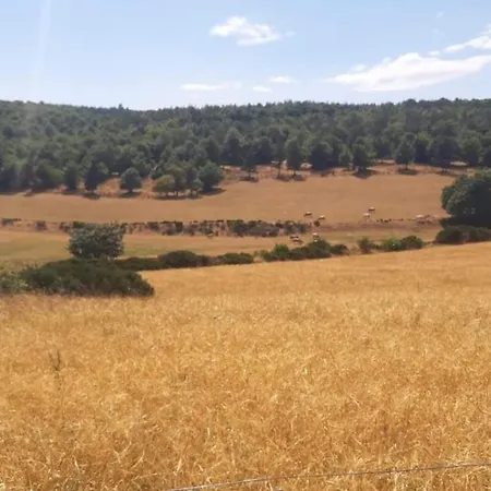 Casa vacanze Le Petit