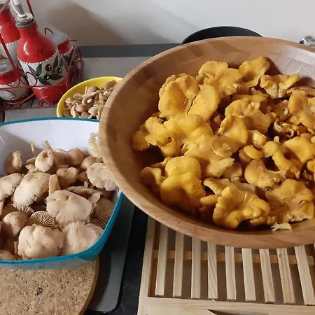 Casa vacanze Le Petit