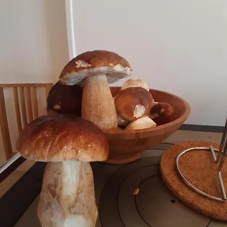 Le Petit Ferienhaus *