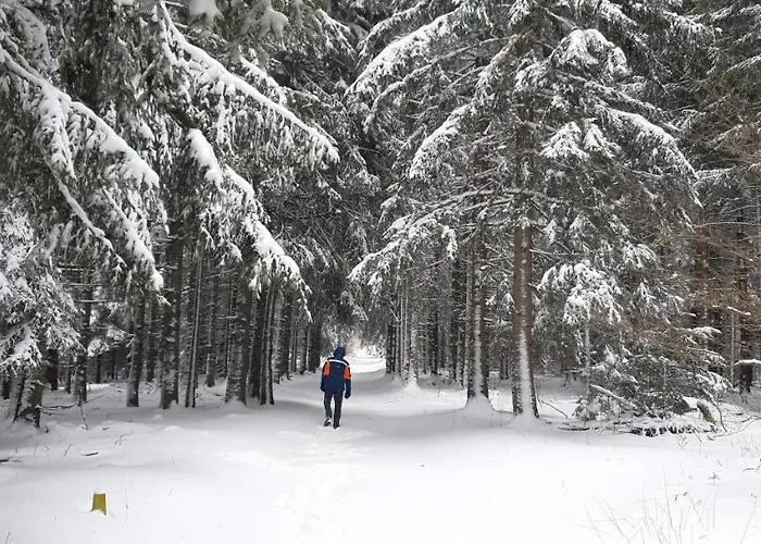 Holiday home Le Petit Pradelles