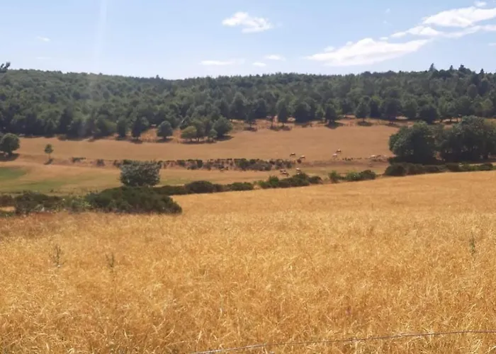 Holiday home Le Petit