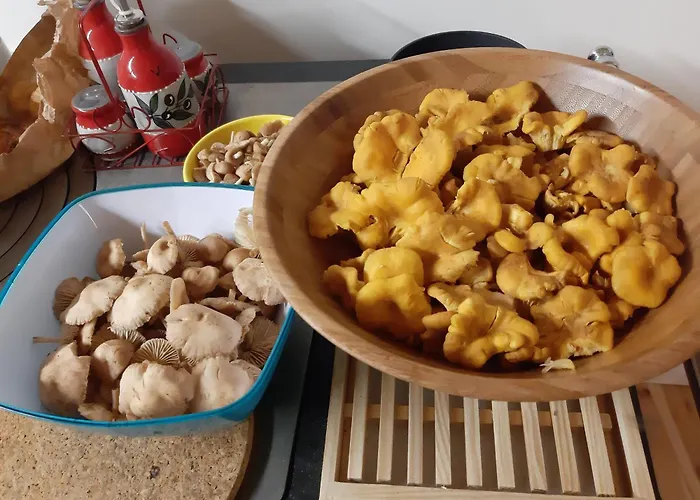 Holiday home Le Petit