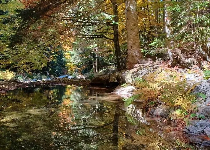 Le Petit Holiday home *